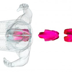 Assa_Ashuach_Femur_Stool_london_2013 (15)