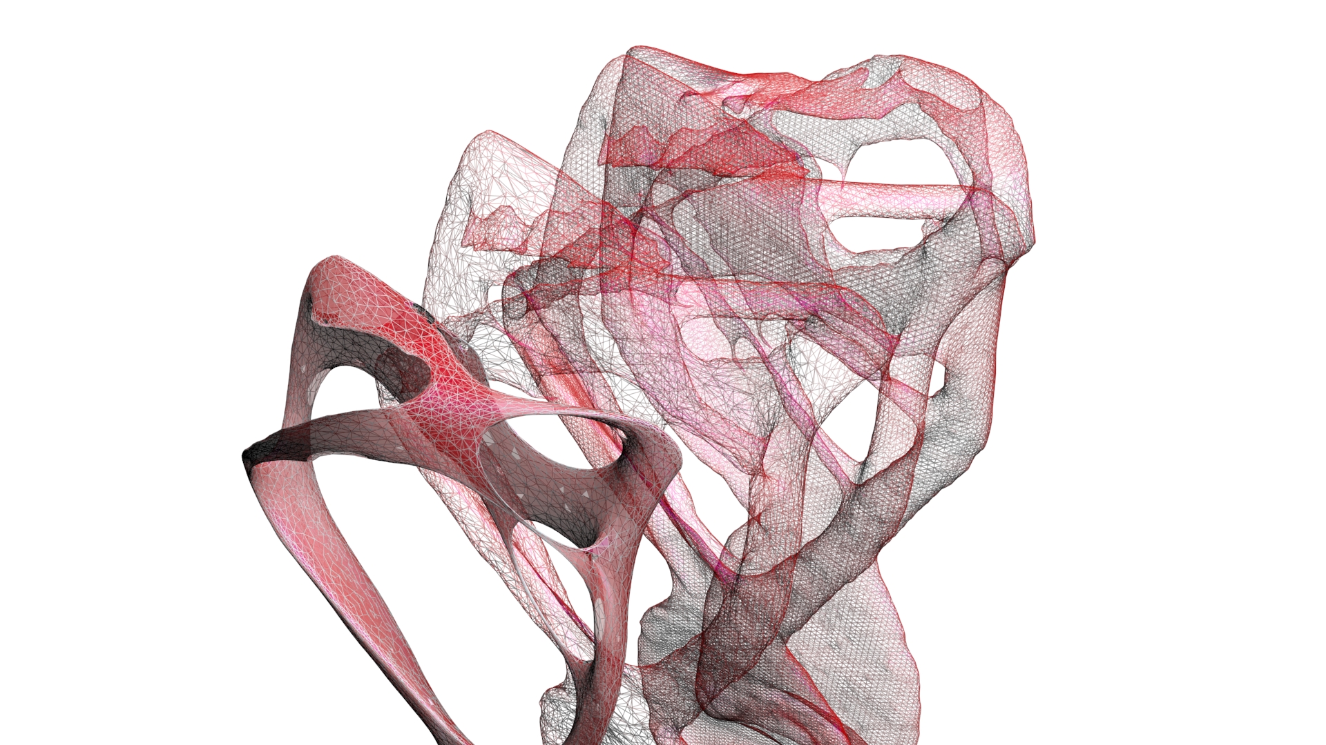 Assa_Ashuach_Femur_Stool_london_2013 (37)