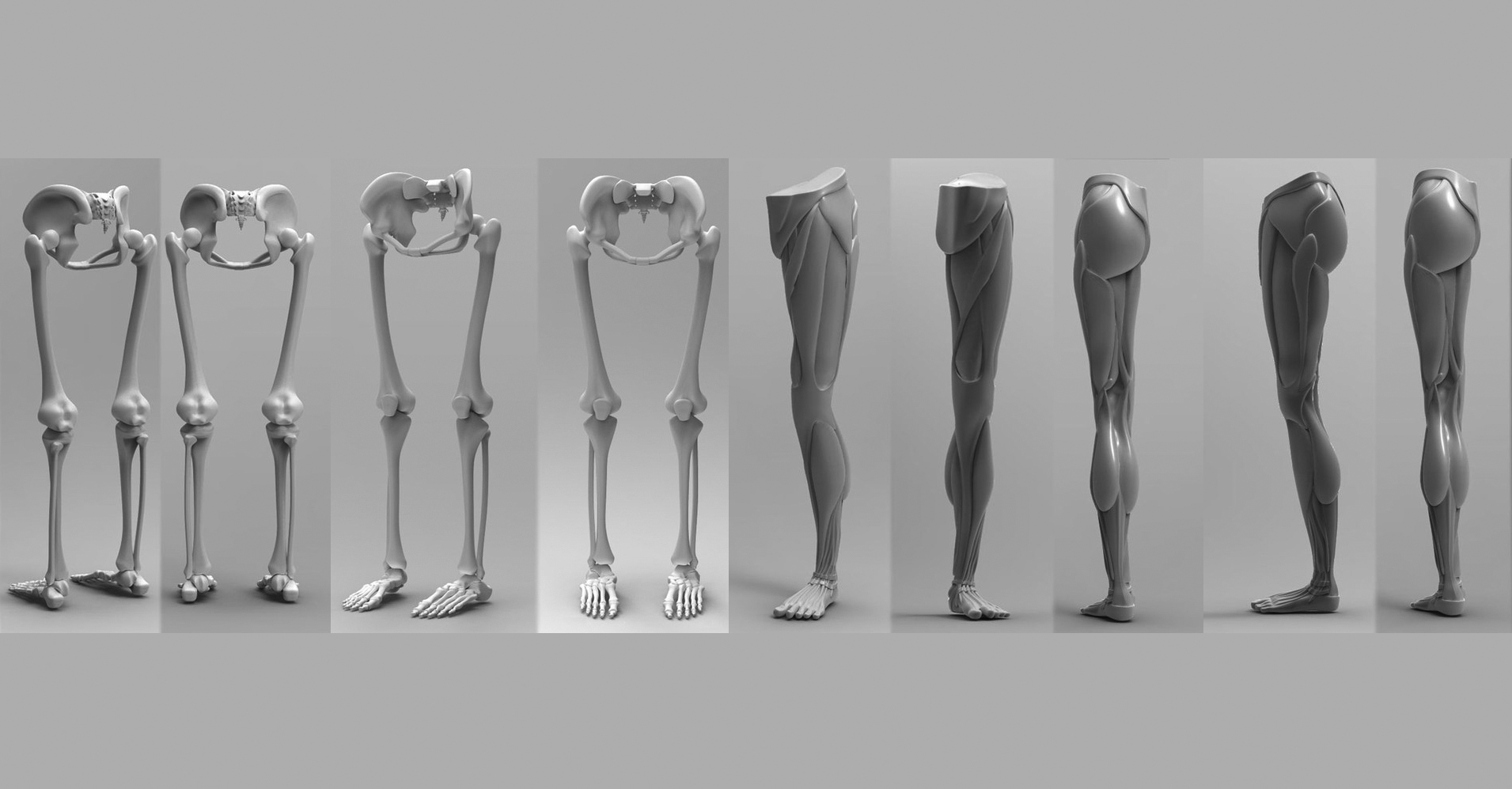 BW-Assa_Ashuach_bone_research_Size_tamplate